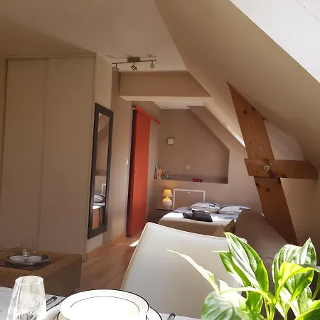 Studio Chaleureux Independant Et Tout Confort 30m² Trélazé