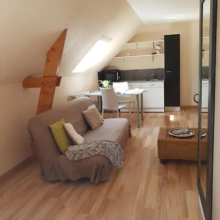 Studio Chaleureux Independant Et Tout Confort 30m² Апартаменты *