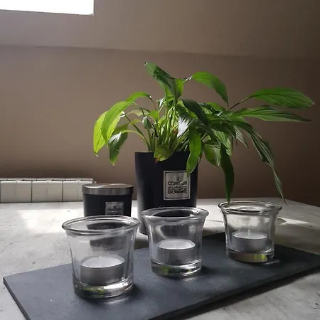 דירה Studio Chaleureux Independant Et Tout Confort 30m² Trélazé